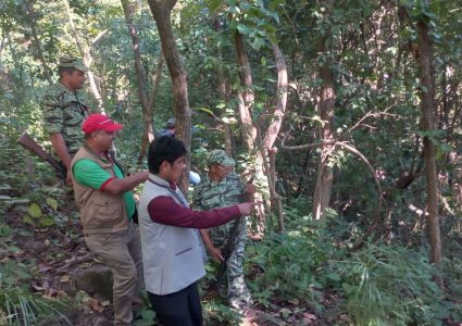 हेटौंडामा देखिएको बाघ नियन्त्रणमा लिन ४ वटा क्यामरा जडान