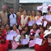 हेटौंडा ११ मा डल तथा कुशन बनाउने तालिम सम्पन्न