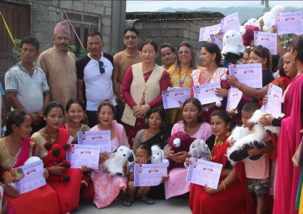 हेटौंडा ११ मा डल तथा कुशन बनाउने तालिम सम्पन्न