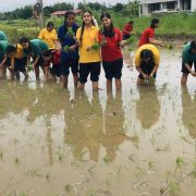 हेटौंडाको सिद्धार्थ शिशु सदनका विद्यार्थीले गरे ‘धान रोपाइँ’