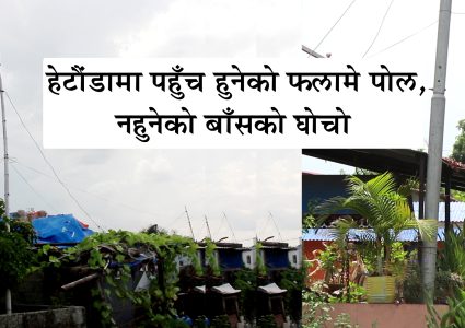 हेटौंडामा पहुँच हुनेले मात्र पाउछन् बिजुलीको पोल, सिधै पैसा माग्छन् प्राधिकरणका कर्मचारी